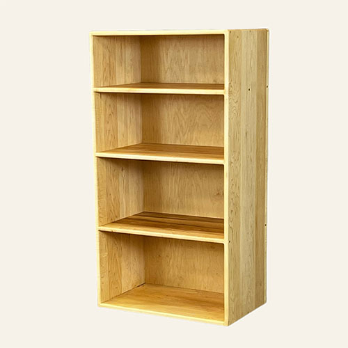 Standard Style Bookcase