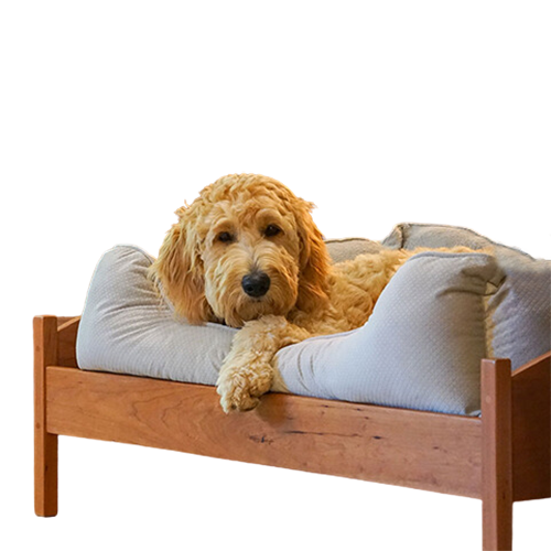 Best Friend Bed