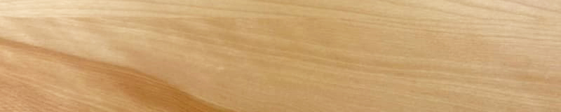 birch wood
