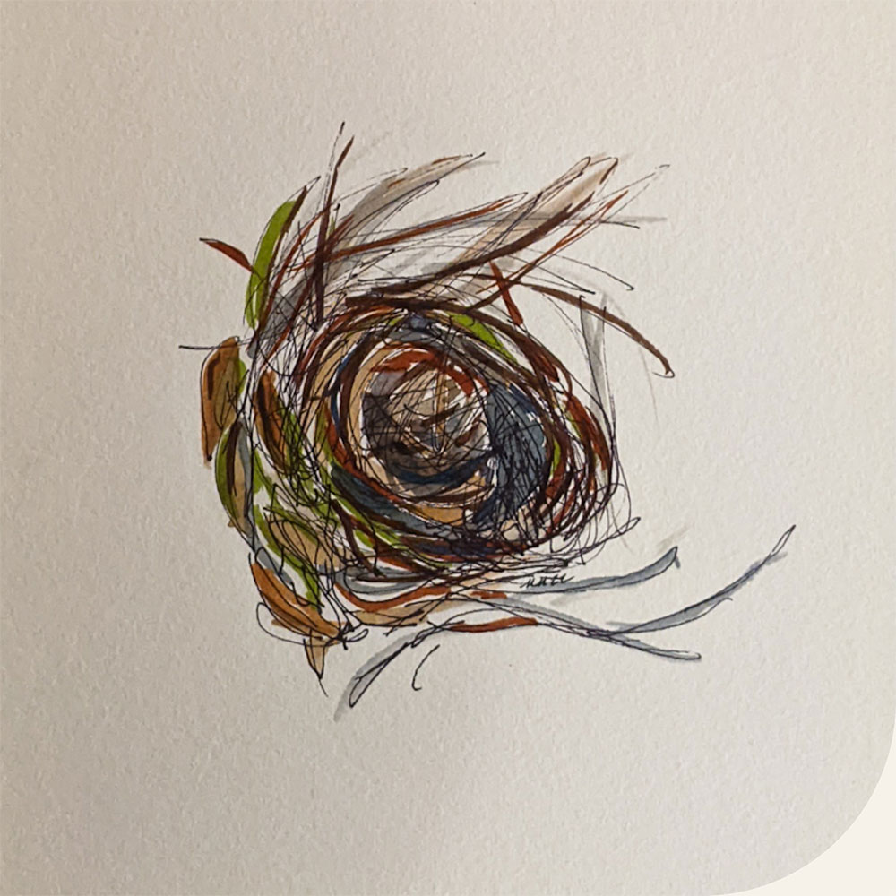 drawing of birds nest