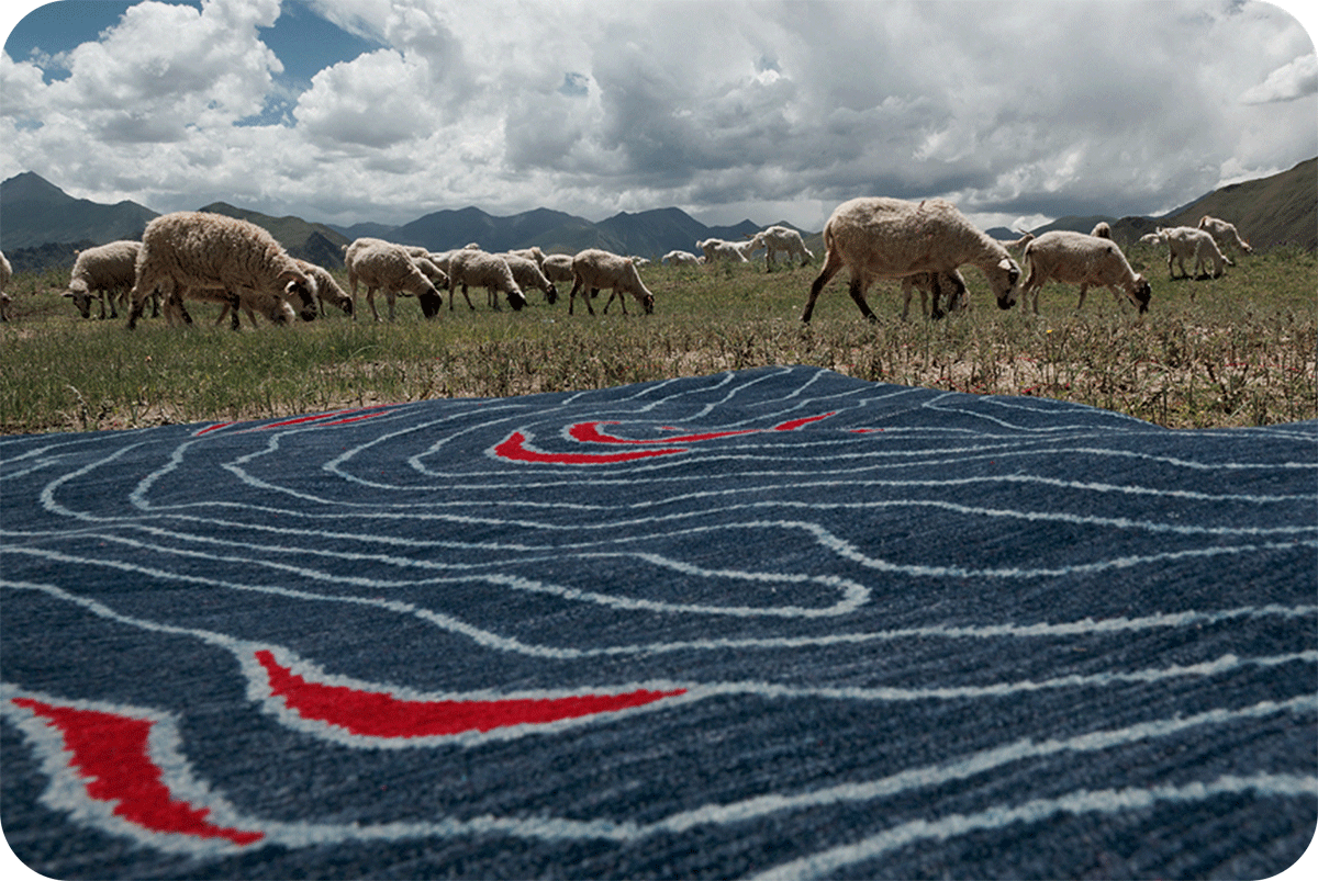 a blue and red wool rug in a field of sheep with mountains in the background