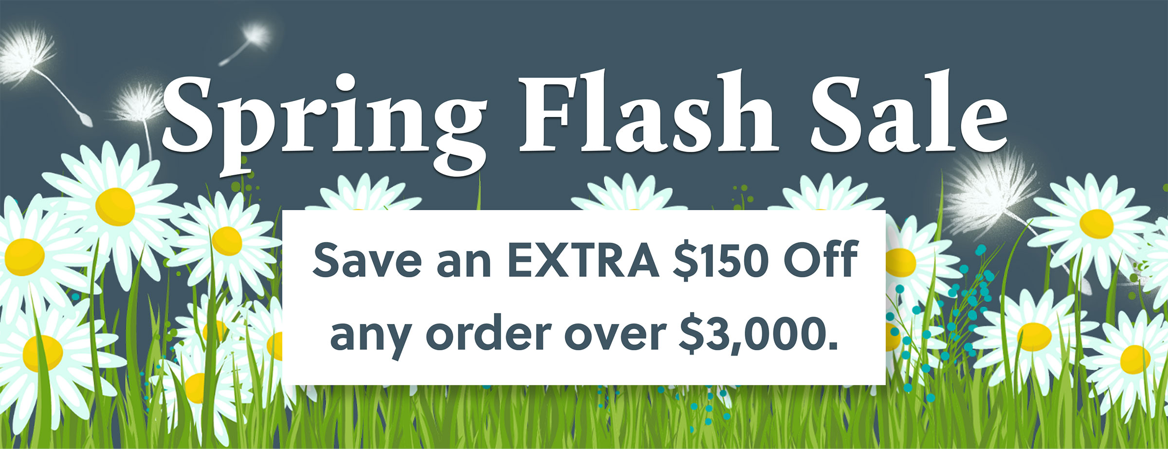 flash sale terms with daisies