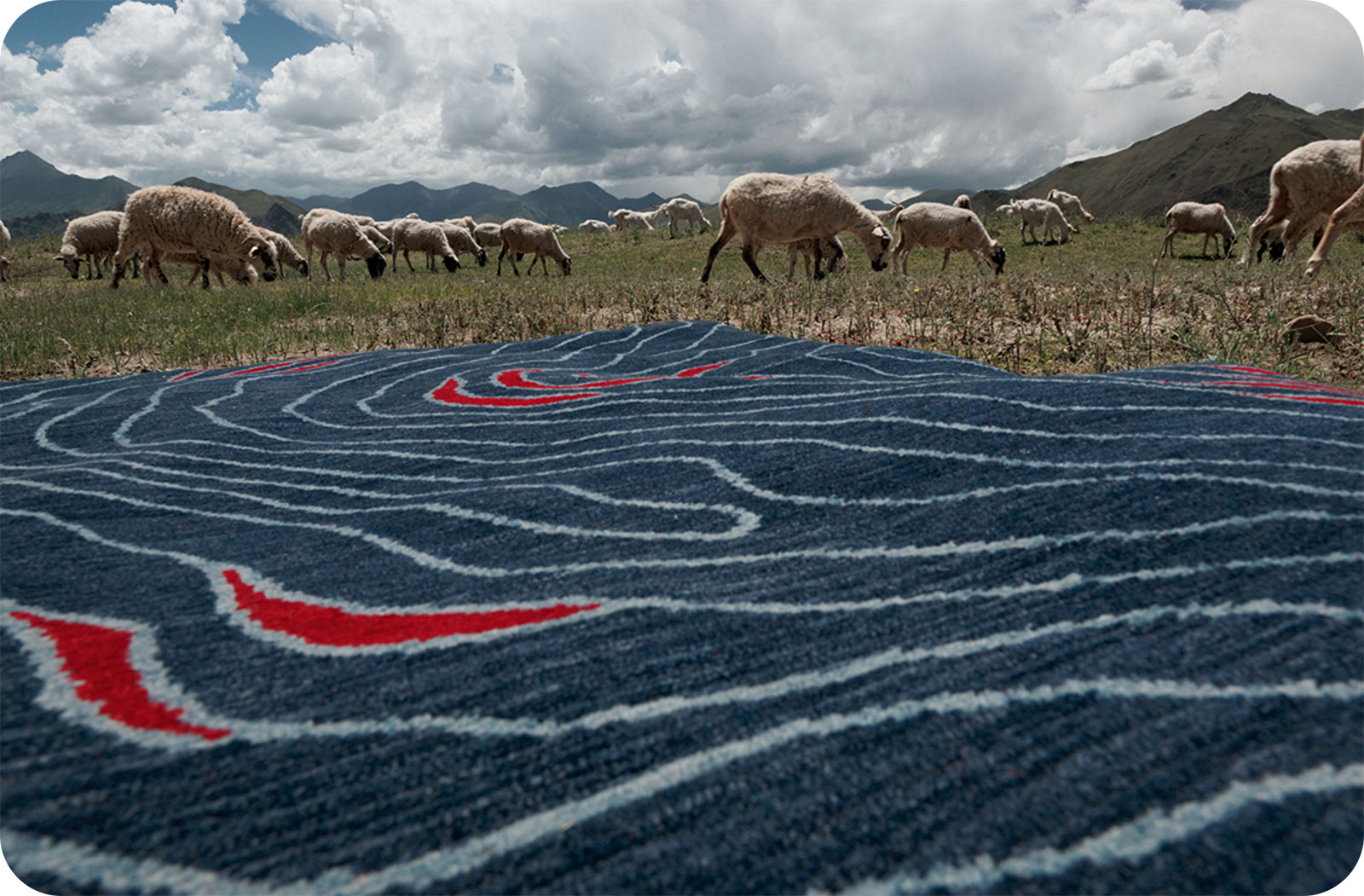 a blue and red wool rug in a field of sheep