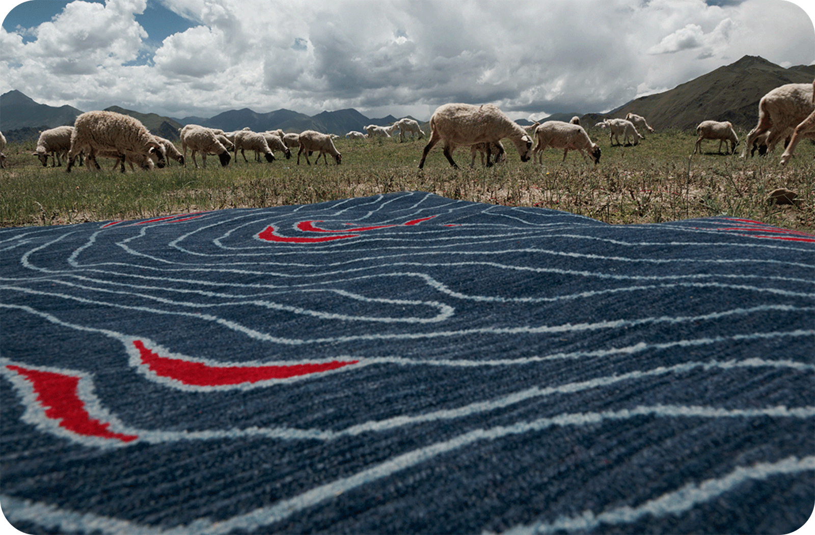 a blue and red wool rug in a field of sheep with mountains in the background
