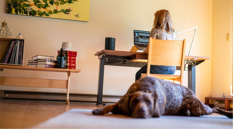 woman at desk with dog lying nearby
