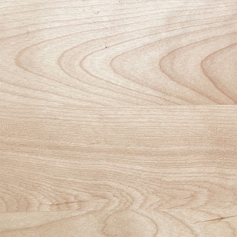 close up of birch wood