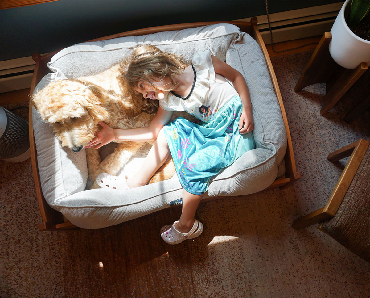 dog and little girl laying in bed together