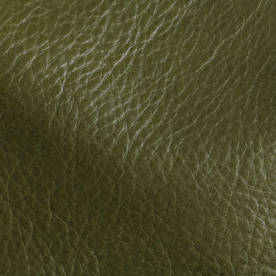 Large detail of brighton-everglade upholstery